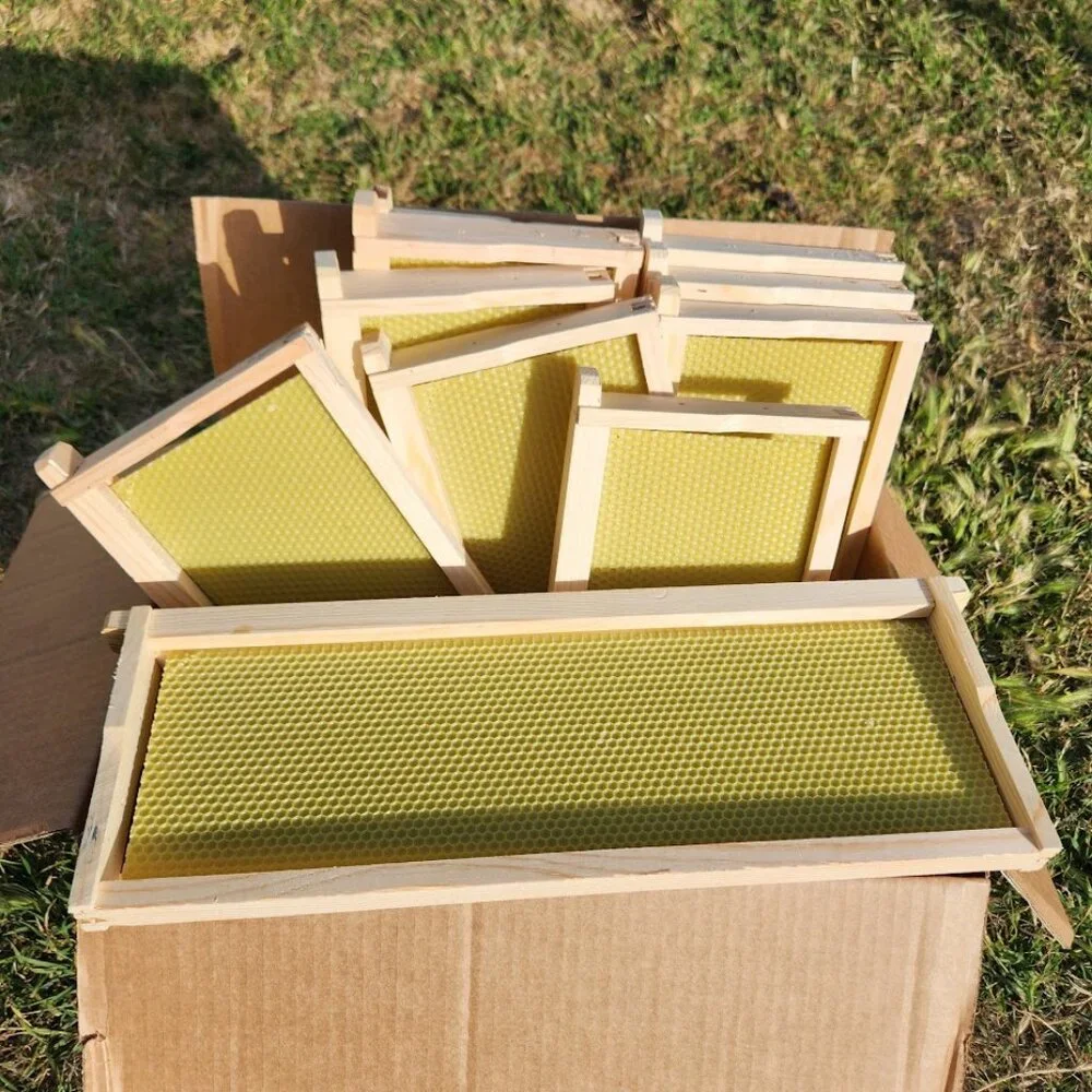 Beekeeping Equipment 10 Medium Frames + 10 Foundation ASSEMBLED For Super Boxes